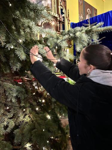 ef234443303acd098294e5c8556ddcd6